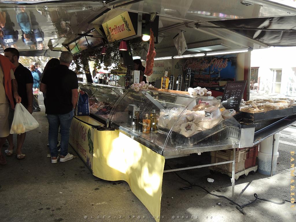 2024 11 02 EN FLANANT SUR SANARY (35).jpg